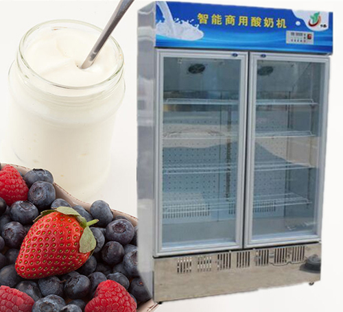 雙門上風(fēng)酸奶機(jī).jpg
